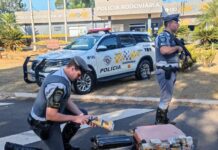 Polícia prende passageira de ônibus que transportava maconha na mala em rodovia de Araçatuba