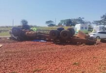 Motorista morre e jovem fica ferido após caminhão tombar em rodovia de Santa Adélia