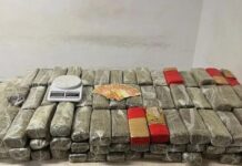 Dupla é presa após tentar fugir por telhado e polícia apreender tijolos de maconha em Rio Preto