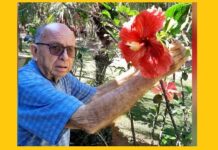 Falece aos 91 anos Paulo Ramalho Matta