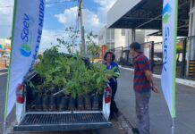 Saev Ambiental faz ações especiais pelo Dia da Árvore