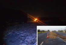 Carreta com cana-de-açúcar tomba e interdita pista de rodovia em Penápolis