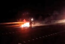 Motociclista morre após atropelar capivara em rodovia de Birigui