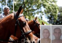 Fugitivos do Centro de Ressocialização de Birigui são capturados em Rio Preto