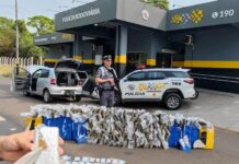 Adolescente é apreendido por transportar grande quantidade de drogas na Rodovia Marechal Rondon