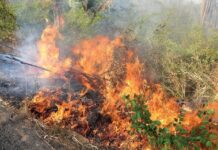 Risco de queimadas: Neoenergia Elektro alerta para baixa umidade do ar e calor intenso