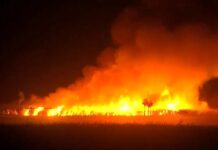 Homem é preso suspeito de provocar incêndios em Guapiaçu