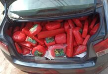 Homem é preso após ser flagrado com maconha e skunk em carro dublê