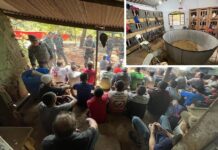 Polícia resgata mais de 50 animais em rinha de galo e aplica multa de R$ 313 mil em Rio Preto