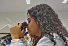 Pesquisa aponta que quase 70% dos egressos do ensino superior estão empregados após um ano da colação de grau