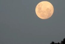 Última Superlua deste ano será nesta sexta-feira