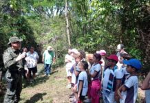 Polícia Ambiental realiza operação alusiva ao Dia da Árvore