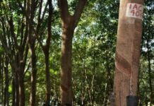 Portas Abertas: Instituto Agronômico de Votuporanga promove feira nesta sexta-feira