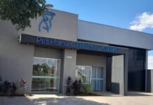 ALERTA: Animais não podem ser jogados no lixo após sua morte