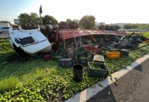 Motorista morre após caminhão tombar em rodovia de Rio Preto