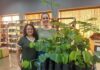 Biblioteca e curso de Agronomia distribuem plantas para estudantes