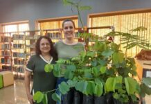 Biblioteca e curso de Agronomia distribuem plantas para estudantes