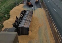 Carreta com carga de milho tomba na Rodovia Euclides da Cunha