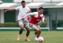 Palmeiras treina após goleada e abre preparação para enfrentar Bahia com desfalque