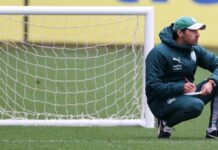 Palmeiras pode diminuir vantagem do Botafogo para apenas três pontos