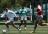 Palmeiras se reapresenta e inicia preparação para o Choque-Rei com retornos