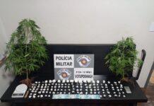 Mãe e filho são presos por tráfico de drogas em Votuporanga