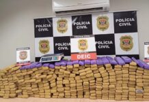 Polícia Civil apreende mais de 300 tijolos de maconha escondidos em casa em Rio Preto