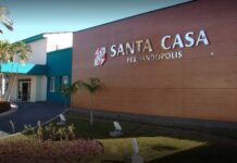 Idoso morre picado por aranha em Fernandópolis