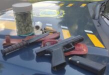 PRF apreende arma de fogo, munições e droga na BR-153