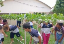 Professor e alunos da rede municipal de ensino desenvolvem projeto de horta hidropônica