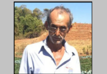 CARDOSO – Homem morre após ser atingido por pedaço de eucalipto