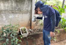 Secretaria da Saúde alerta para entrada de novo tipo de vírus da Dengue