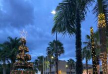 Programação de Natal da Prefeitura começa nesta sexta-feira