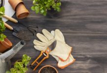 Prefeitura oferece curso gratuito de Jardinagem