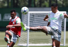 Palmeiras prepara mudança para jogo contra o Internacional