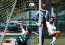Palmeiras volta aos treinos com três novidades para enfrentar o Flamengo