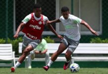 Palmeiras treina à espera dos atletas convocados na Data Fifa