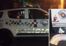 Força Tática prende traficante com drogas no bairro Estação