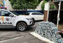 Polícia apreende 321 kg de maconha em trailer para transporte de animais