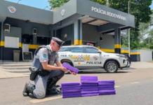 Mulher é presa por tráfico internacional de drogas em Penápolis