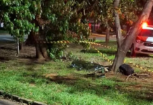 Motociclista morre após bater em árvore em rotatória de Araçatuba