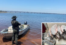 Polícia Ambiental deflagra operação Piracema Fontes de Comércio