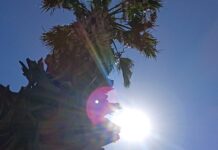 Defesa Civil renova alerta de altas temperaturas em todo Estado de São Paulo