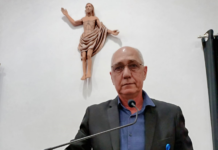 Valdecir Lio pede solução para fiação em meio às copas das árvores