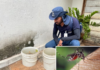 Dengue: Votuporanga confirma três novos casos de variante desaparecida há 15 anos no noroeste paulista