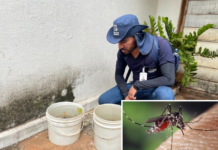 Dengue: Votuporanga confirma três novos casos de variante desaparecida há 15 anos no noroeste paulista