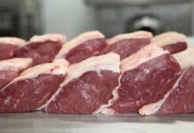 Carne bovina deve ficar mais acessível e com preços atrativos em 2024
