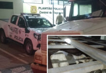 Polícia Ambiental apreende gado sem nota em Pontes Gestal