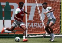 Palmeiras começa preparativos para jogo do título e pode ter reforço