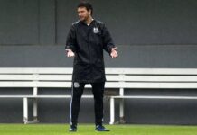 Santos quer Elano para ser elo entre o futebol profissional e as categorias de base